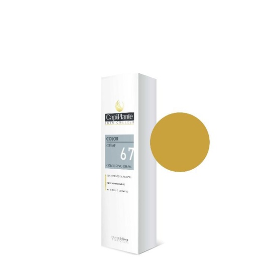 [4CP060AA] CAPIPLANTE™ Color crème 8.3 blond clair doré 100ml